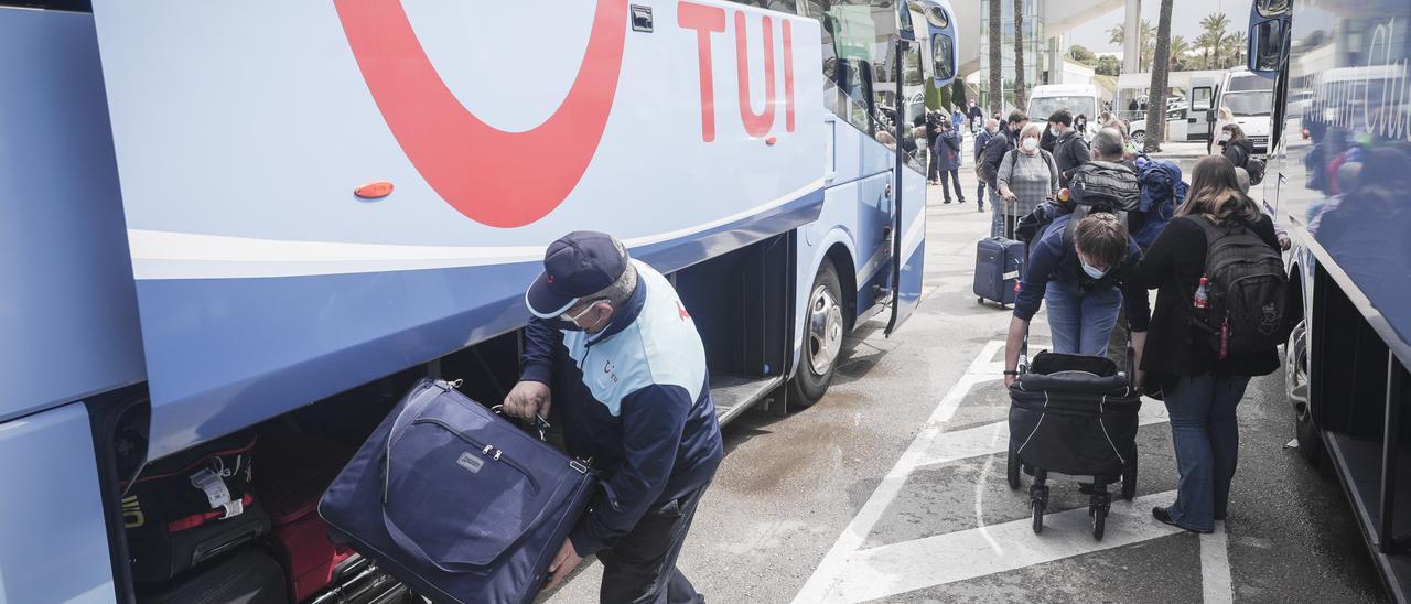 Autobuses turísticos en el aeropuerto de Palma