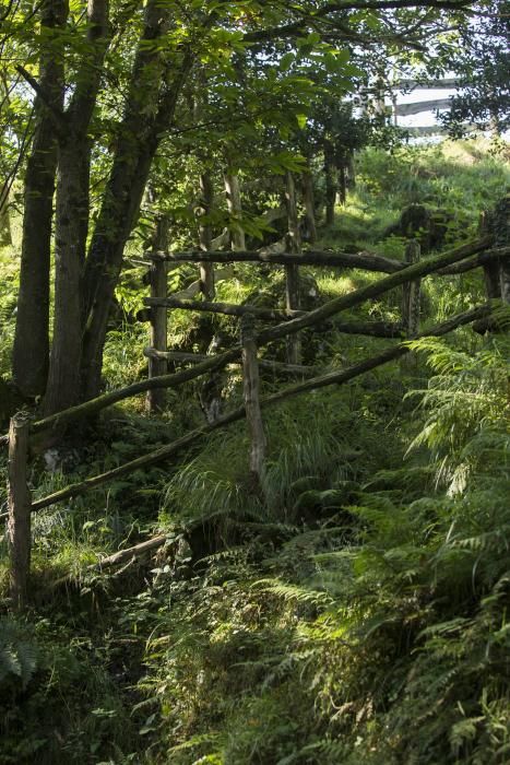 Rutas por Asturias: foces del río Pendón