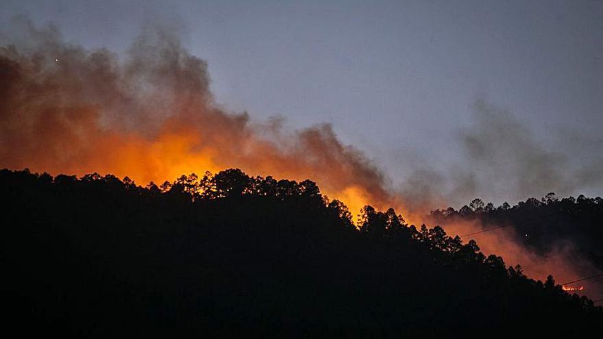 El fuego avanza por el pinar tras quemar 400 hectáreas en Arico