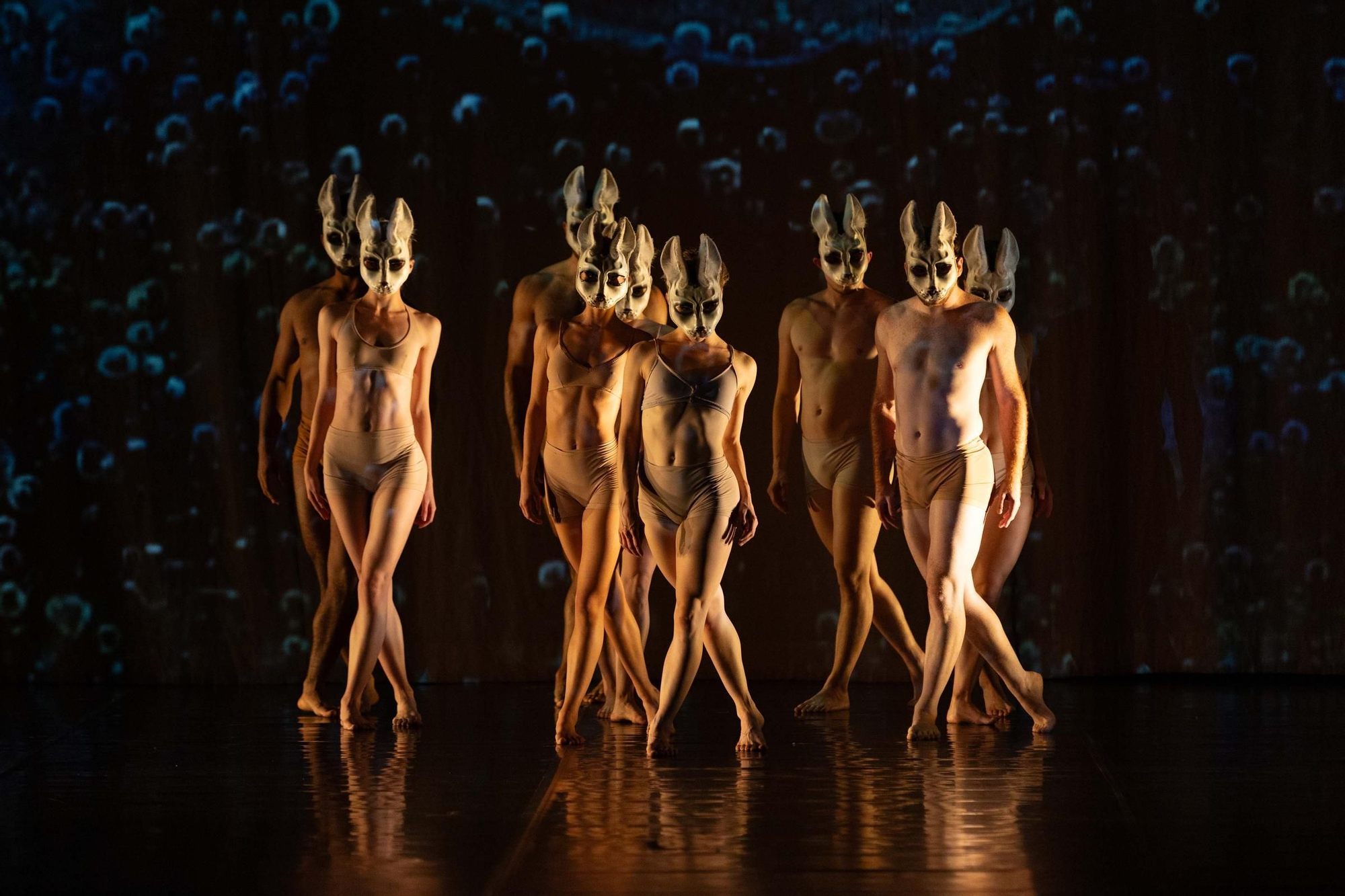 Momix presenta en A Coruña su nuevo espectáculo 'Alice'