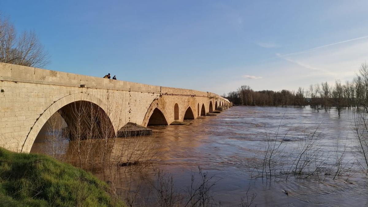 El río Duero crecido bajo el puente de piedra de Toro