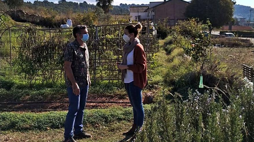 Integrantes del proyecto de formación en agricultura. | LEVANTE-EMV