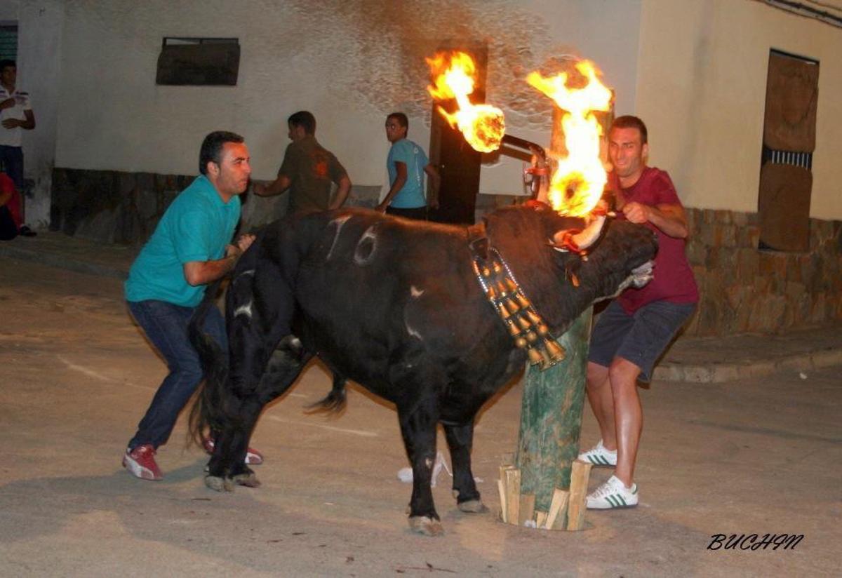 Los actos taurinos comenzarán esta misma jornada, a las 00.00 horas con el primer toro embolado.
