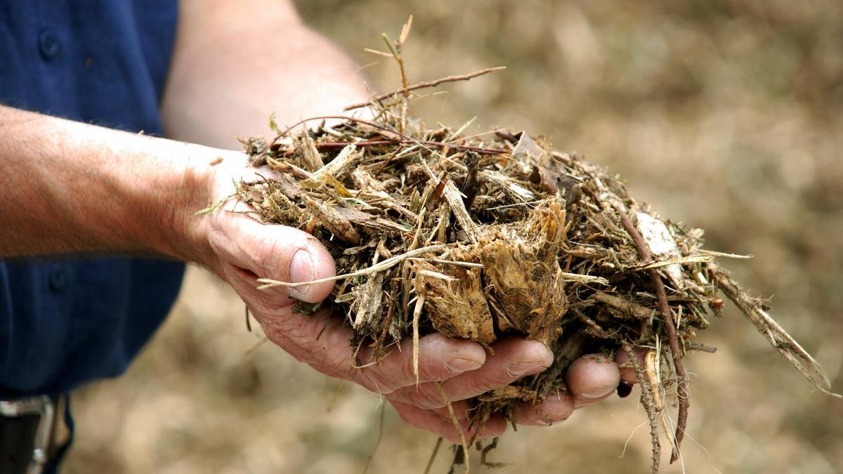 De Biomasa-AP fue un proyecto de carácter innovador con tres años de duración.