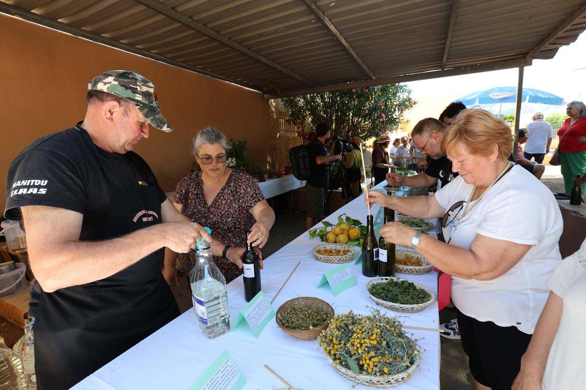 Taller de elaboración de hierbas ibicencas en Can Bonet