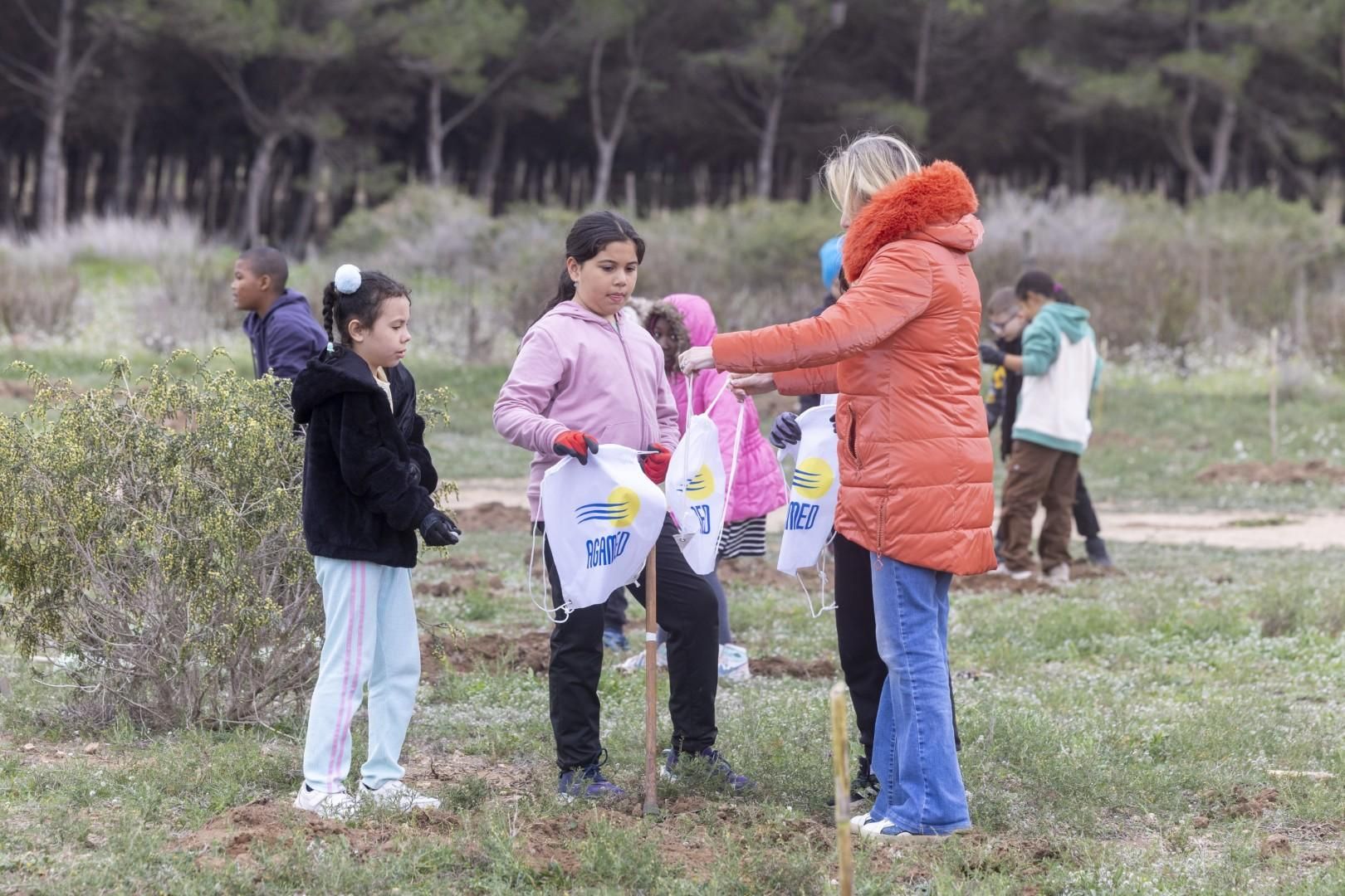 Jornada escolar plantación de especies autóctonas junto al parque natural de las lagunas de Torrevieja y La Mata