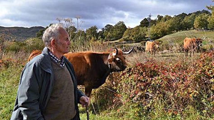 Un ganadero, en el entorno del Parque Natural del Lago de Sanabria