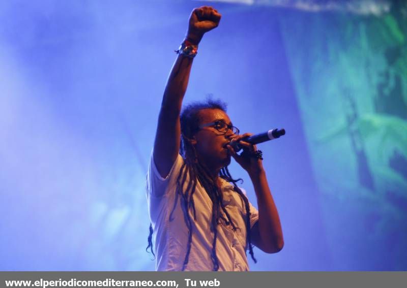 GALERÍA DE FOTOS- Cuarta Jornada del Rototom 2014