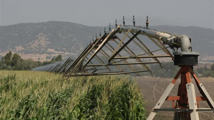 La inteligencia artificial llega a las comunidades de regantes para ahorrar agua