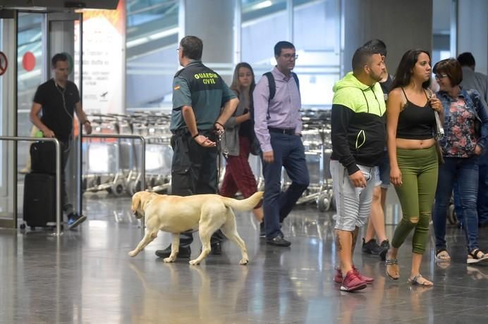 REPORTAJE UNIDAD CANINA AEROPUETO DE GRAN CANARIA