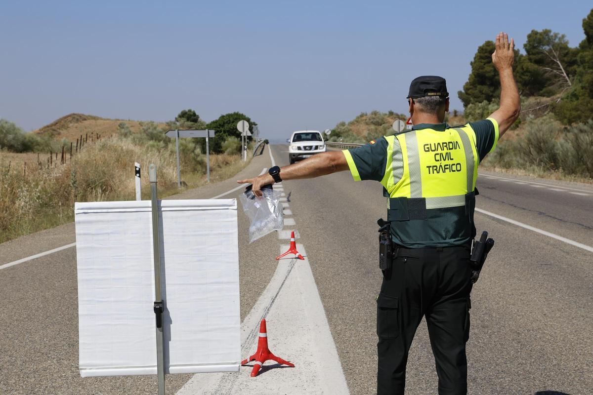 Un guardia civil realiza un control en Córdoba.