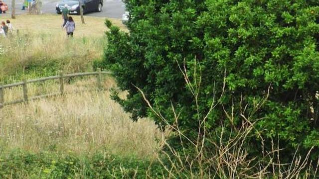 Paseantes en la senda de Rebolleres, invadida por la vegetación.