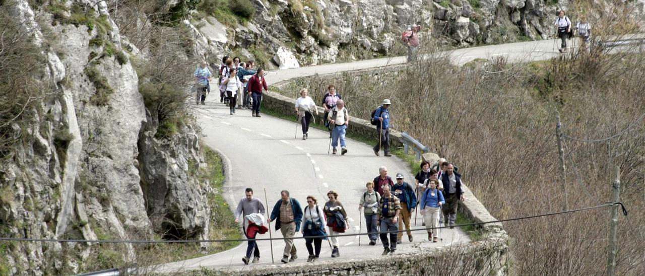 Un grupo de peregrinos de la Asociación de Amigos del Caminos de Santiago de Álava transita por la carretera entre Soto de Caso y Veneros en marzo de 2004. | Fernando Rodríguez