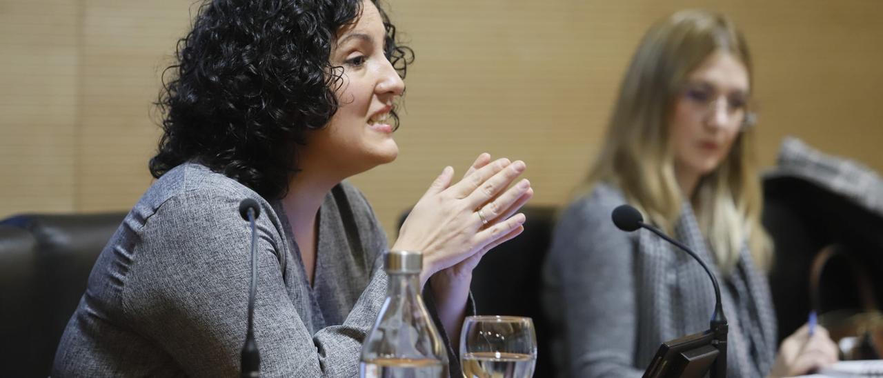 Cristina Ruiz interviene en el curso organizado por el Colegio de la Abogacía.