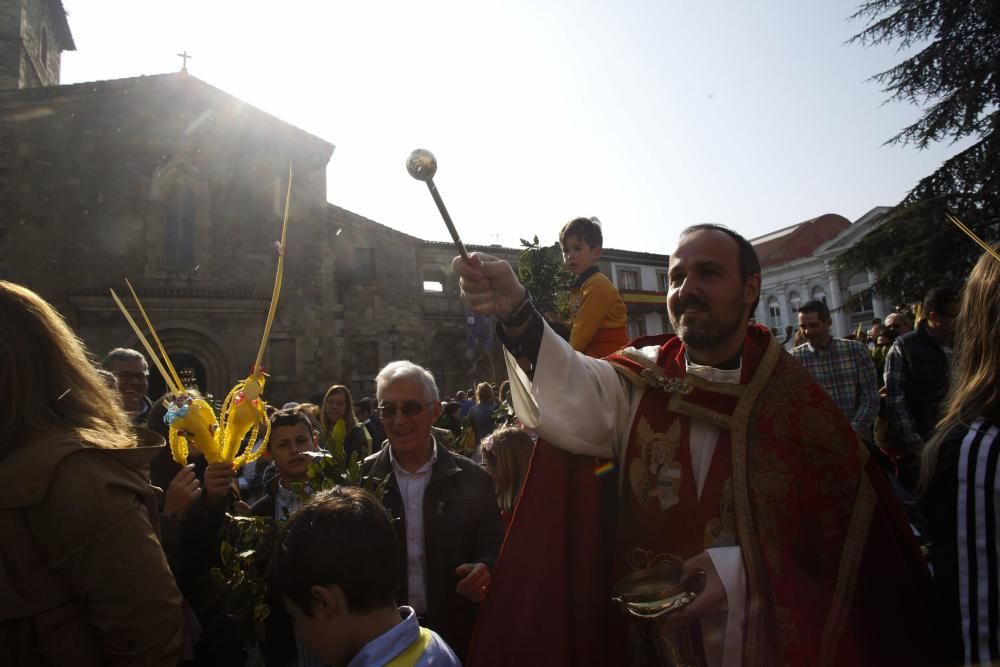 Domingo de Ramos en Avilés