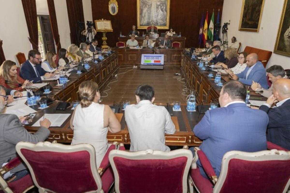 Pleno de la Diputación de Córdoba del mes mayo celebrado este miércoles.
