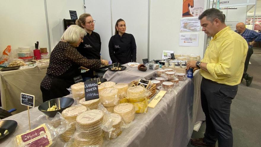 Stand de Quesos Plazuelo.