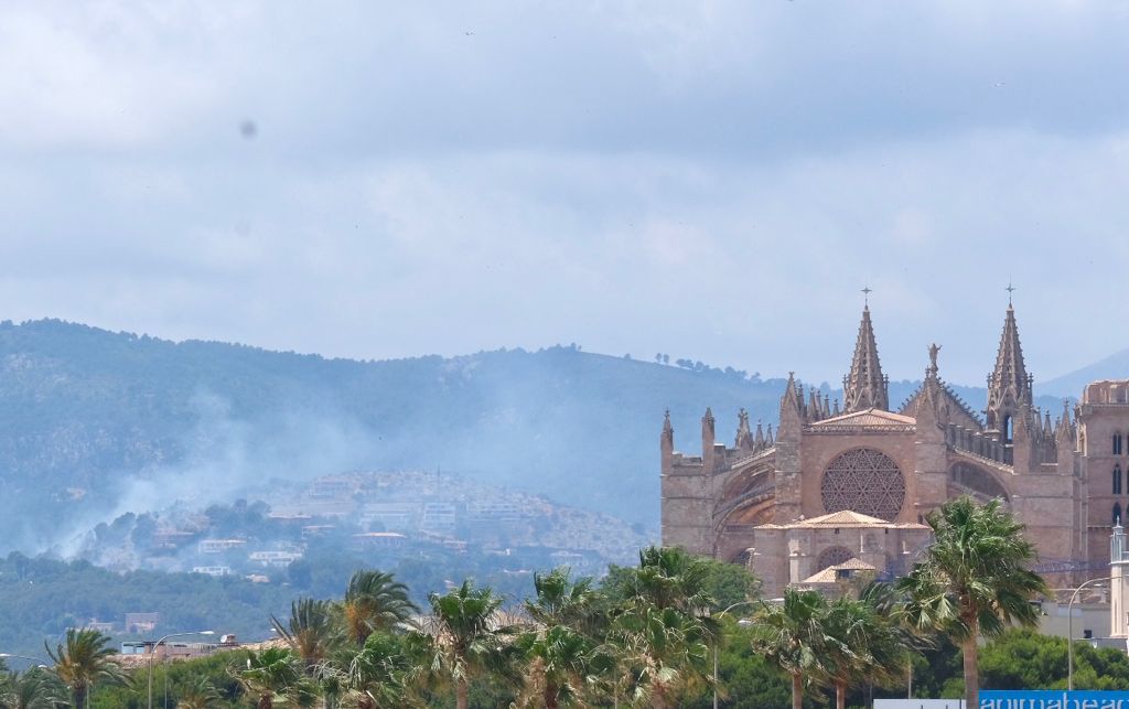 Un gran incendio declarado en el Coll de sa Creu se acerca peligrosamente a las viviendas de Son Vida