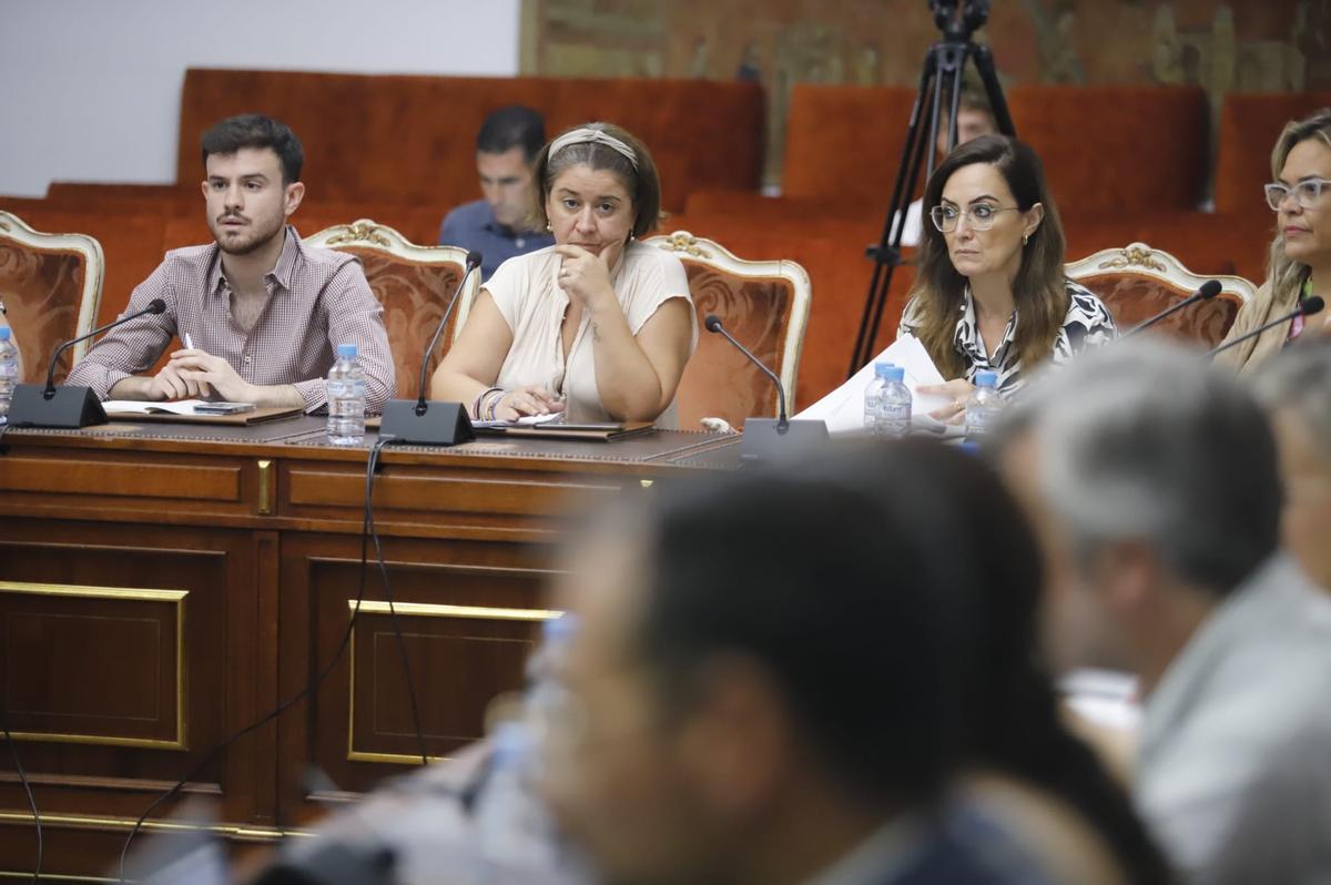 La portavoz de IU en la Diputación, Irene Ruiz, en el centro de la imagen, hizo una interpelación sobre la supresión de la Delegación de Memoria HIstórica.