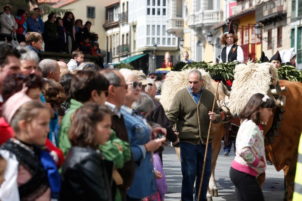 Pregón y desfile de carrozas en las fiestas del Bollo en Avilés