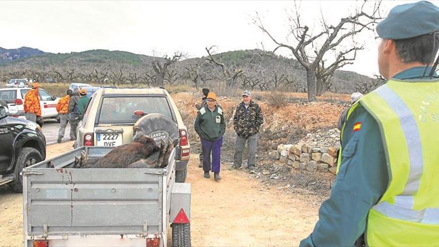 Los cazadores quieren cazar un mes más para poner cerco a los jabalíes