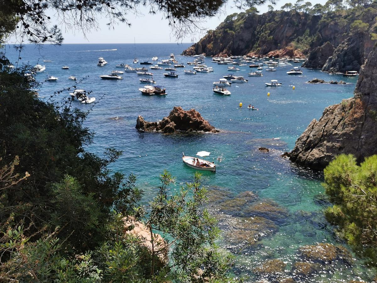 La cala del Golfet, en Palafrugell, llena de embarcaciones.