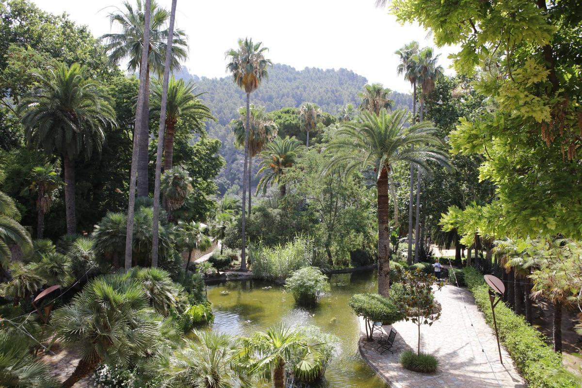 Die Jardines de Alfabia zählen zu den Orten, die die Leser beeindruckt haben.