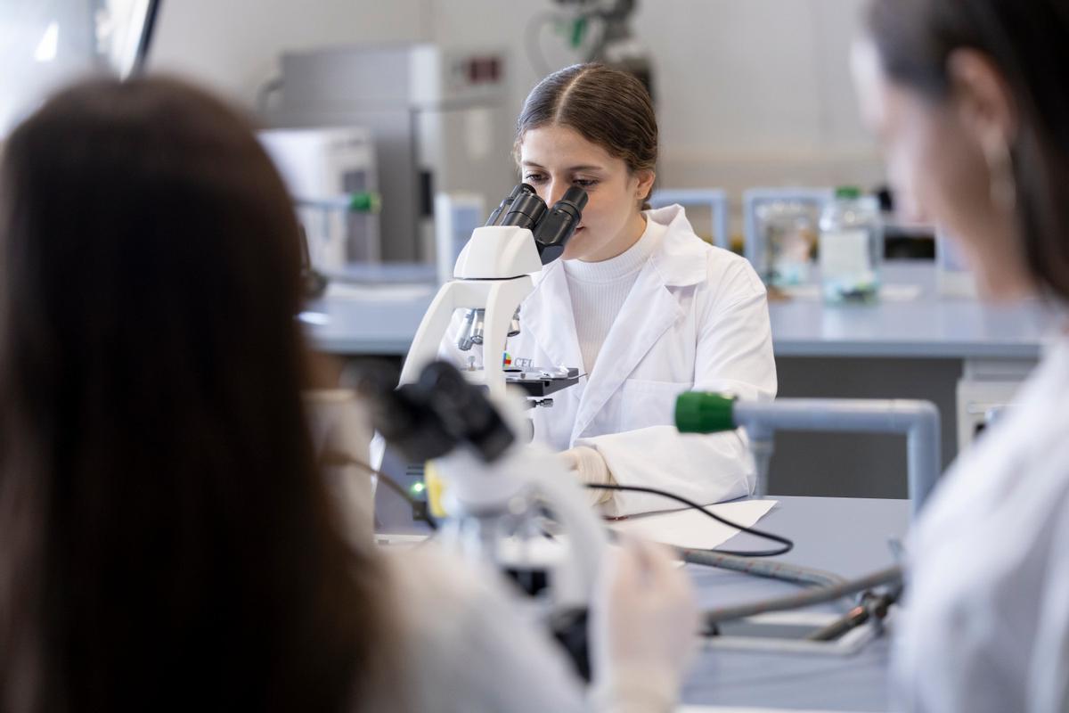 La Universidad CEU Fernando III incorpora nuevos títulos para grados, másteres y FP