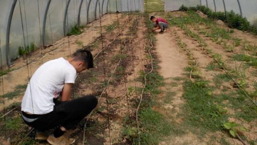 Un dels projectes que han participat en l&#039;estudi és Riuverd, a Solsona.