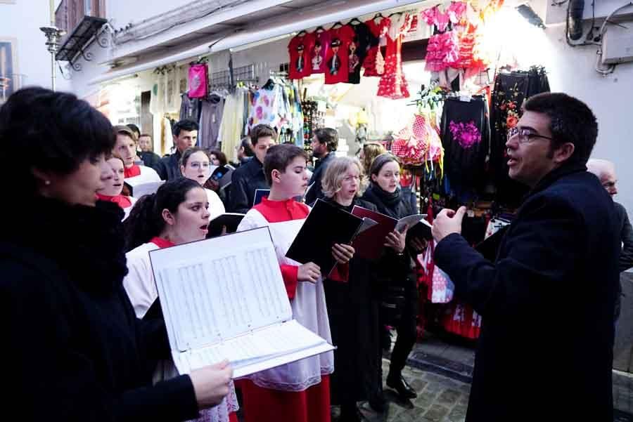 El Vía Crucis de las Cofradías en imágenes.