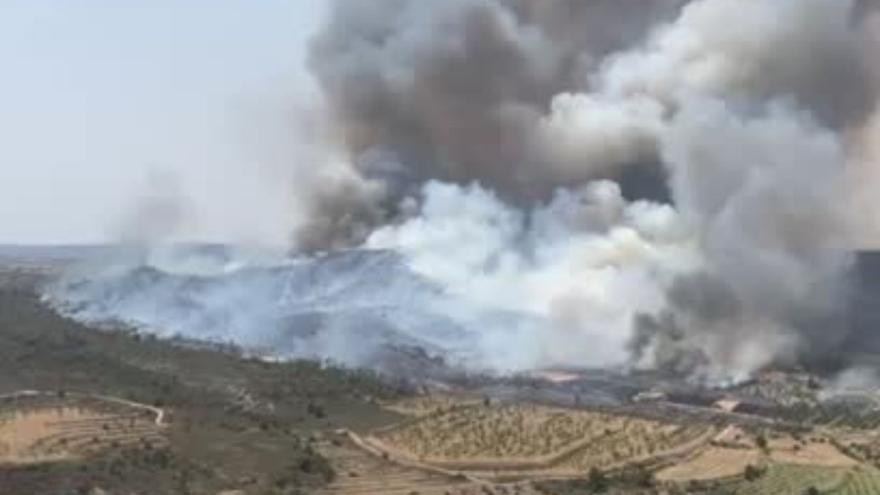 VÍDEO | Incendio forestal en el municipio zaragozano de Nonaspe