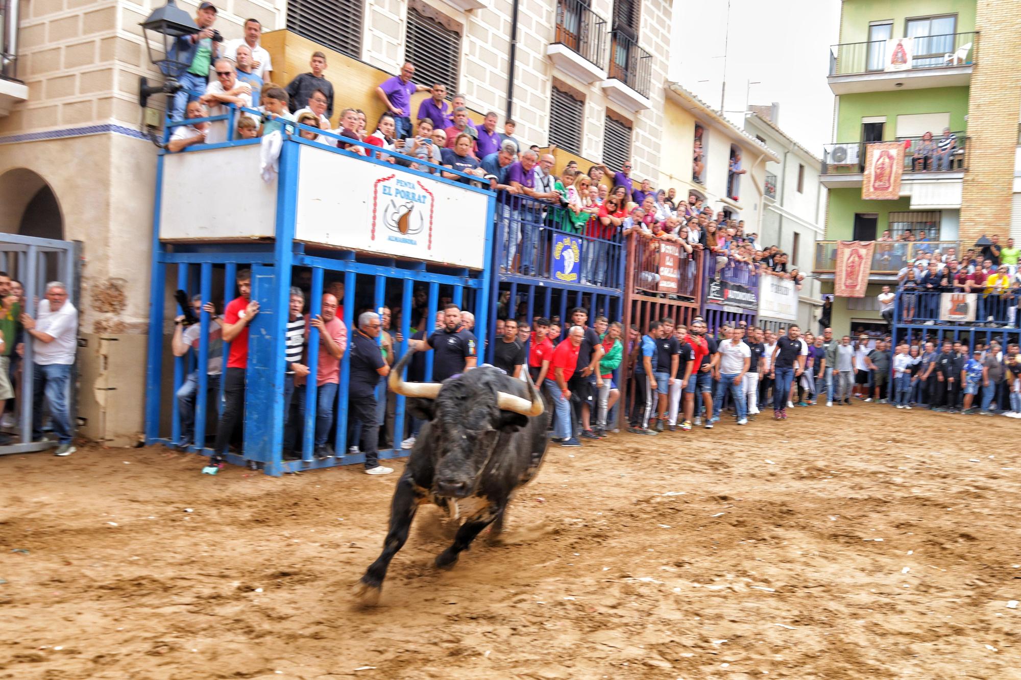 Fotos de ambiente y de los toros de la tarde taurina del martes de fiestas en Almassora