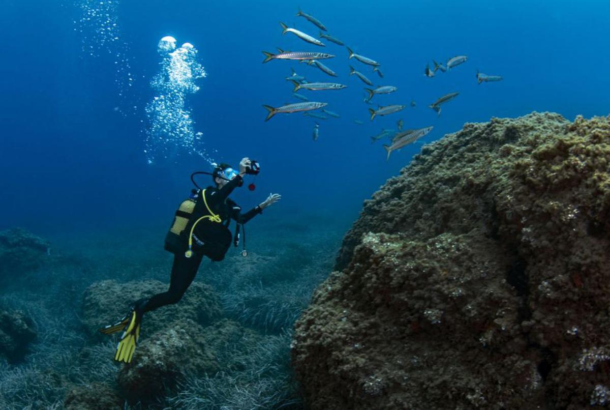 Lluna y Adrià Mas ganan el Montphoto de naturaleza para menores de 14 años | XAVIER MAS