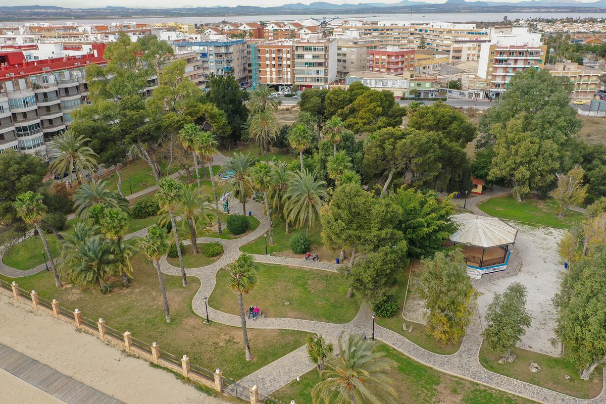 Imagen del parque de Doña Sinforosa con palmeras, pinos y eucaliptus.  A la derecha, un ejemplar que supera la altura de siete plantas de los edificios
