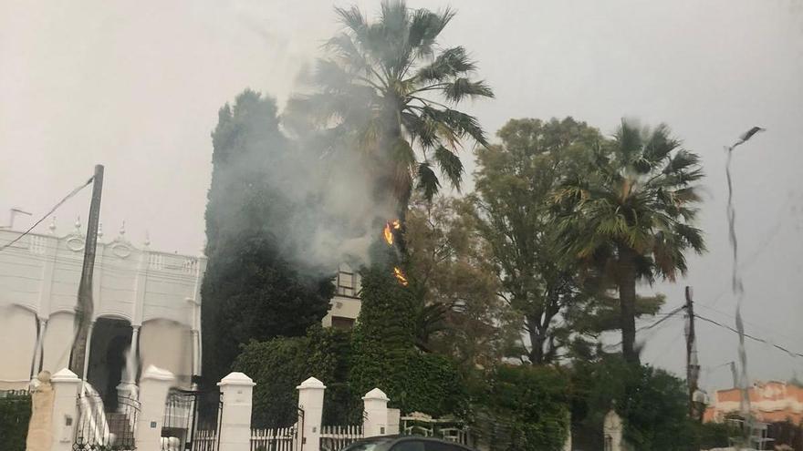 Tormentas en Castellón: Un rayo incendia una palmera en Burriana