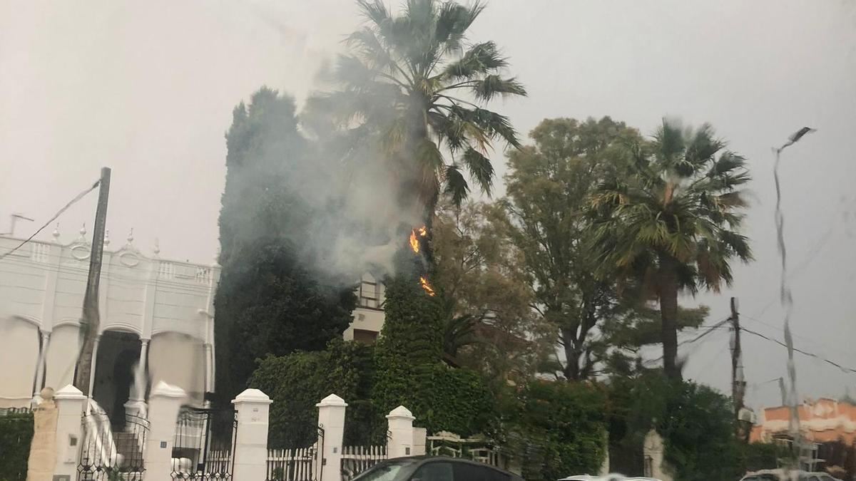 Un rayo ha provocado el incendio de una palmera en Burriana