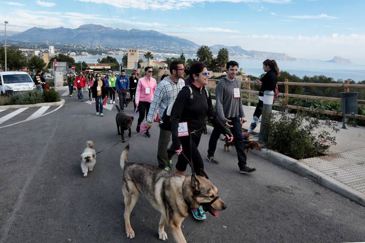 «Running» solidario con perros por l'Alfàs del Pi