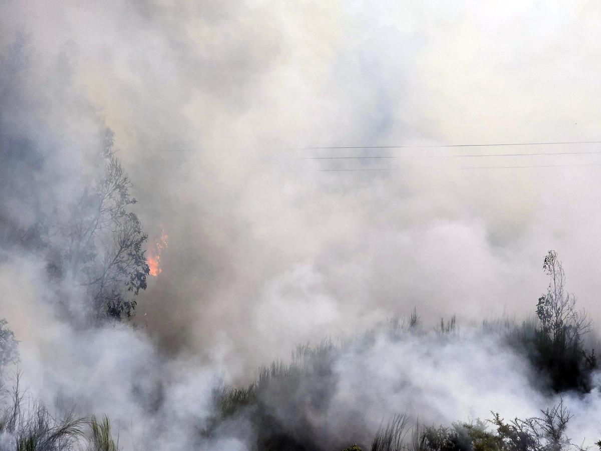 Situación de los incendios activos en Galicia el viernes 22 de agosto
