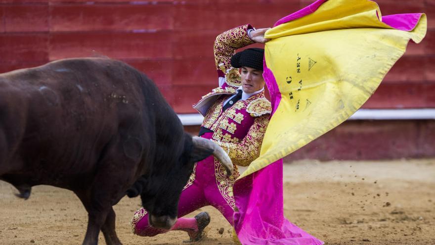 El novillero Borja Collado en la pasada Feria de Fallas.