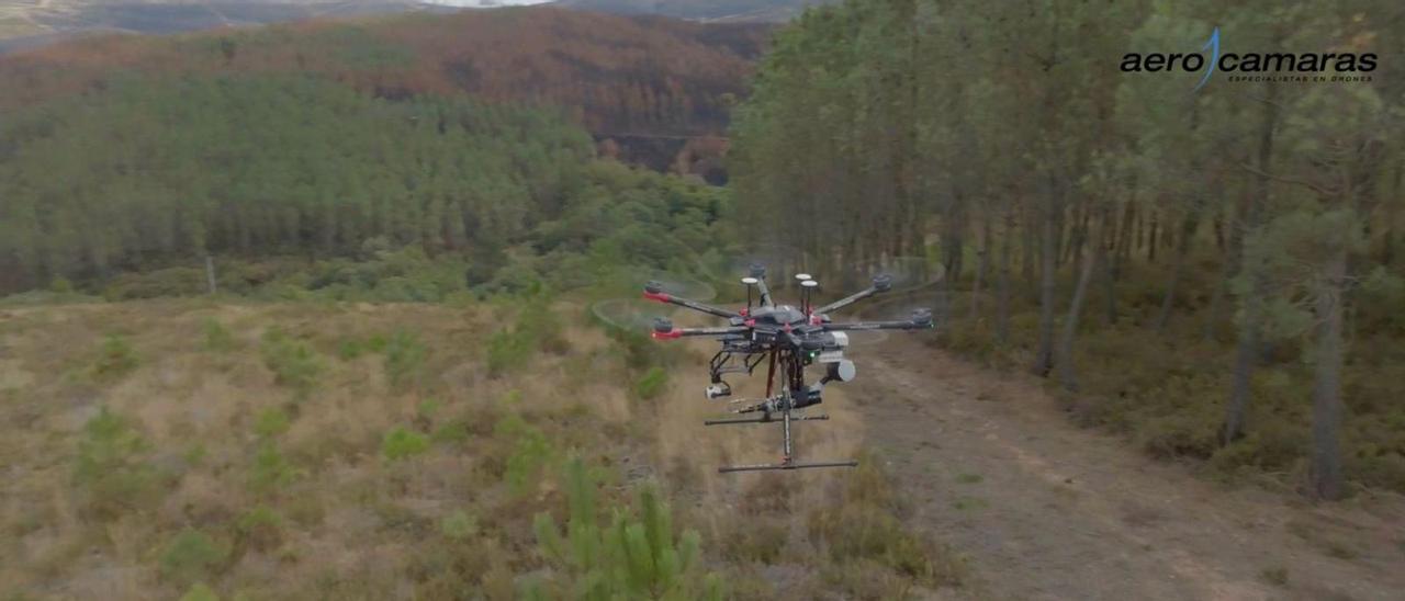 Plano aéreo de uno de los drones durante las tareas de reforestación.