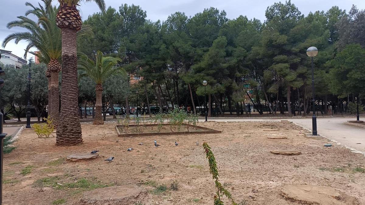 Isla en el parque de l'Alquenència en la que han desaparecido la mayoría de las palmeras en poco tiempo.