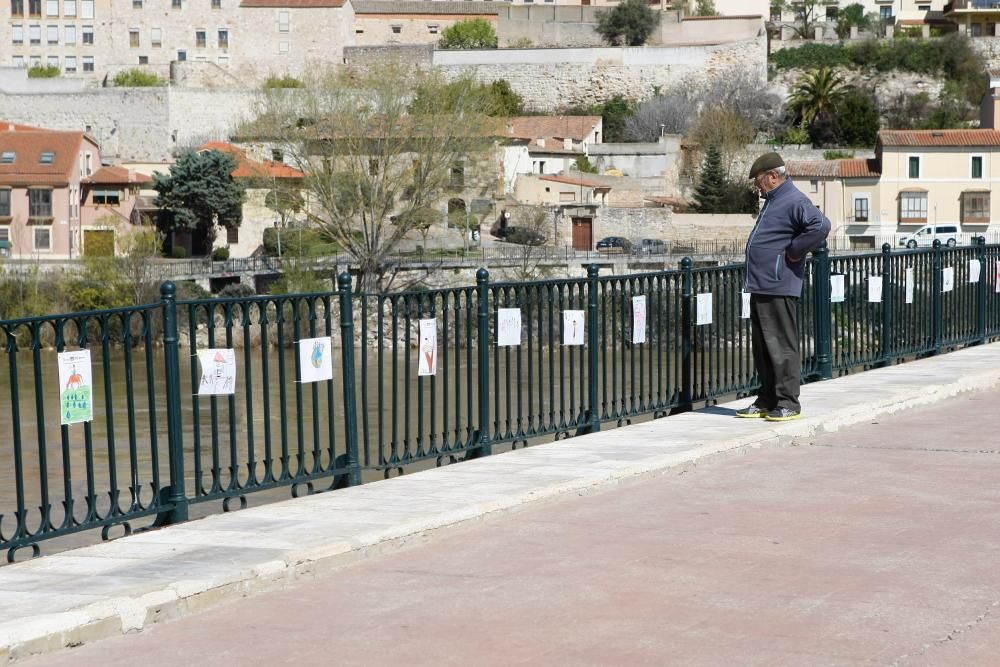 El pueblo gitano celebra el Día Mundial en Zamora