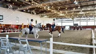 La cantera ecuestre de Extremadura se exhibe en Badajoz: formación, pasión y futuro para el sector del caballo