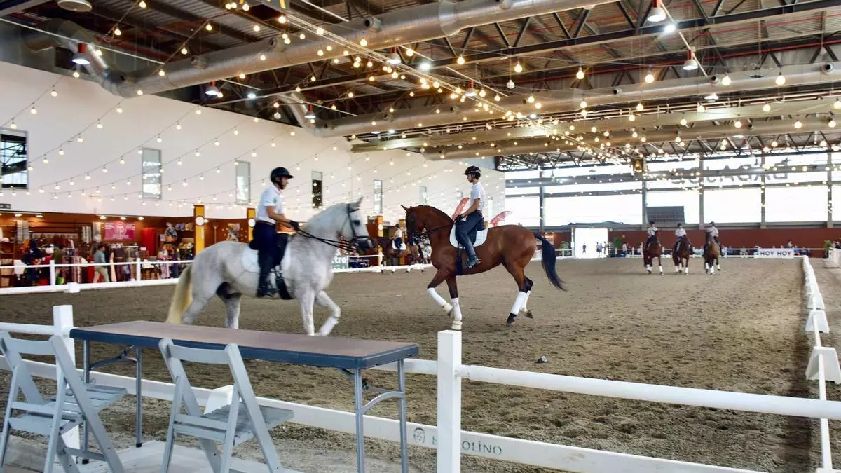 La cantera ecuestre de Extremadura se exhibe en Badajoz: formación, pasión y futuro para el sector del caballo