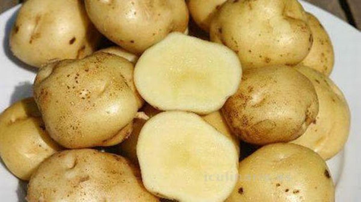Así es la patata bonotte