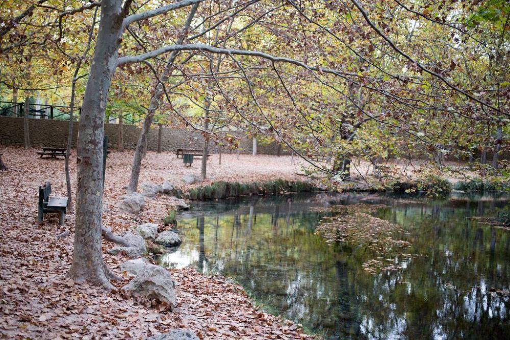 Fuentes del Marques: El otoño nace en Caravaca