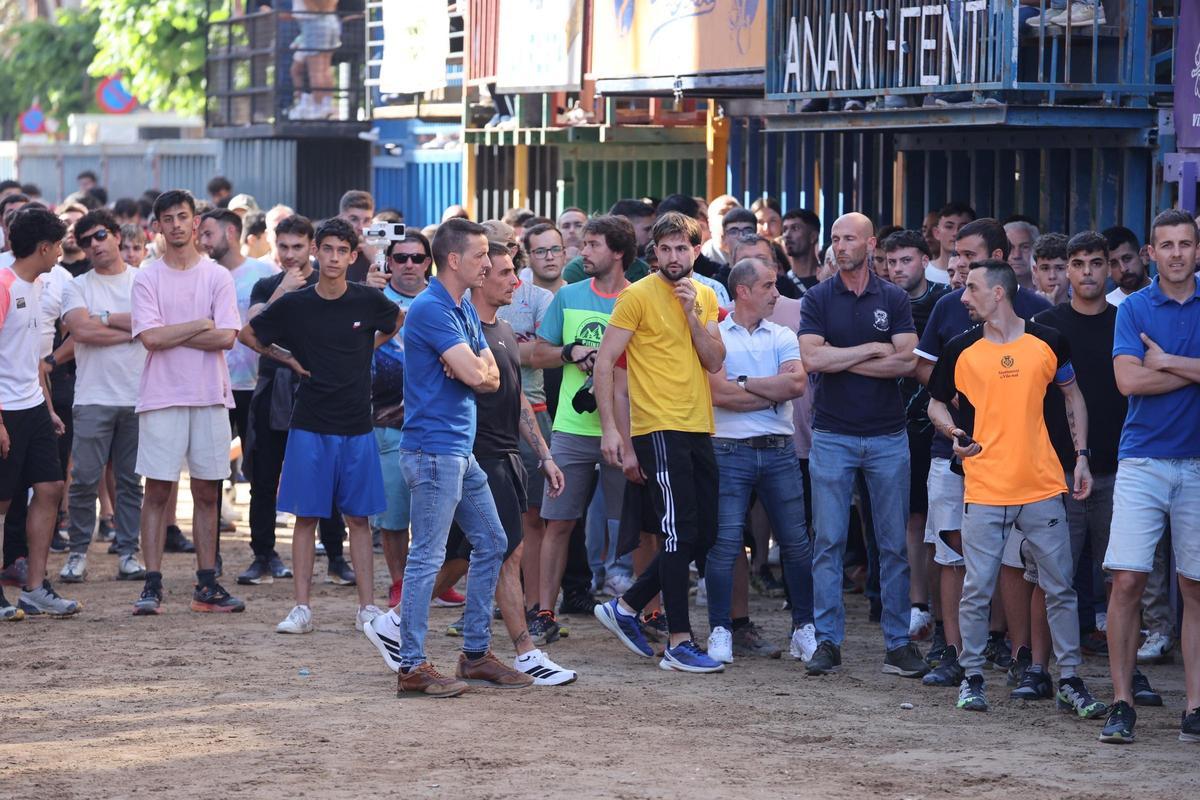 Fotogalería I Las imágenes de la tercera jornada de 'bou al carrer' de las fiestas de Sant Pasqual en Vila-real