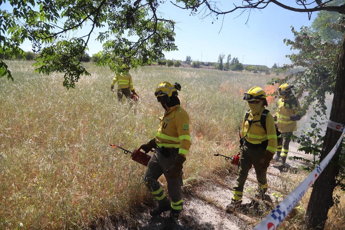 Efectivos del Infoca realizan una quema controlada en Córdoba esta primavera.