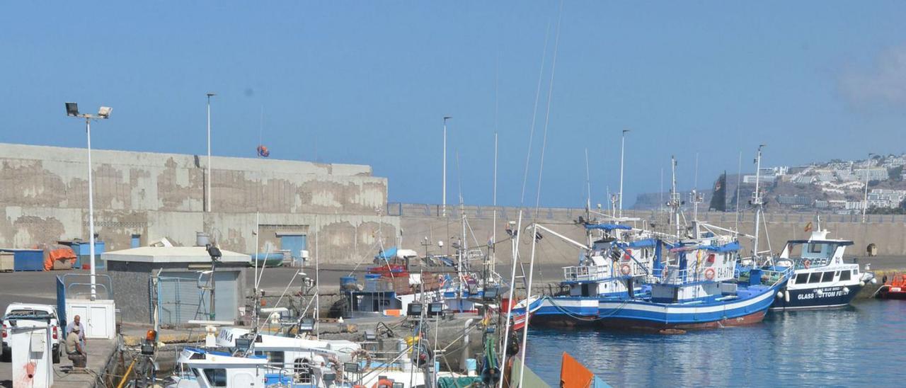 Embarcaciones pesqueras en el muelle de Arguineguín. | |