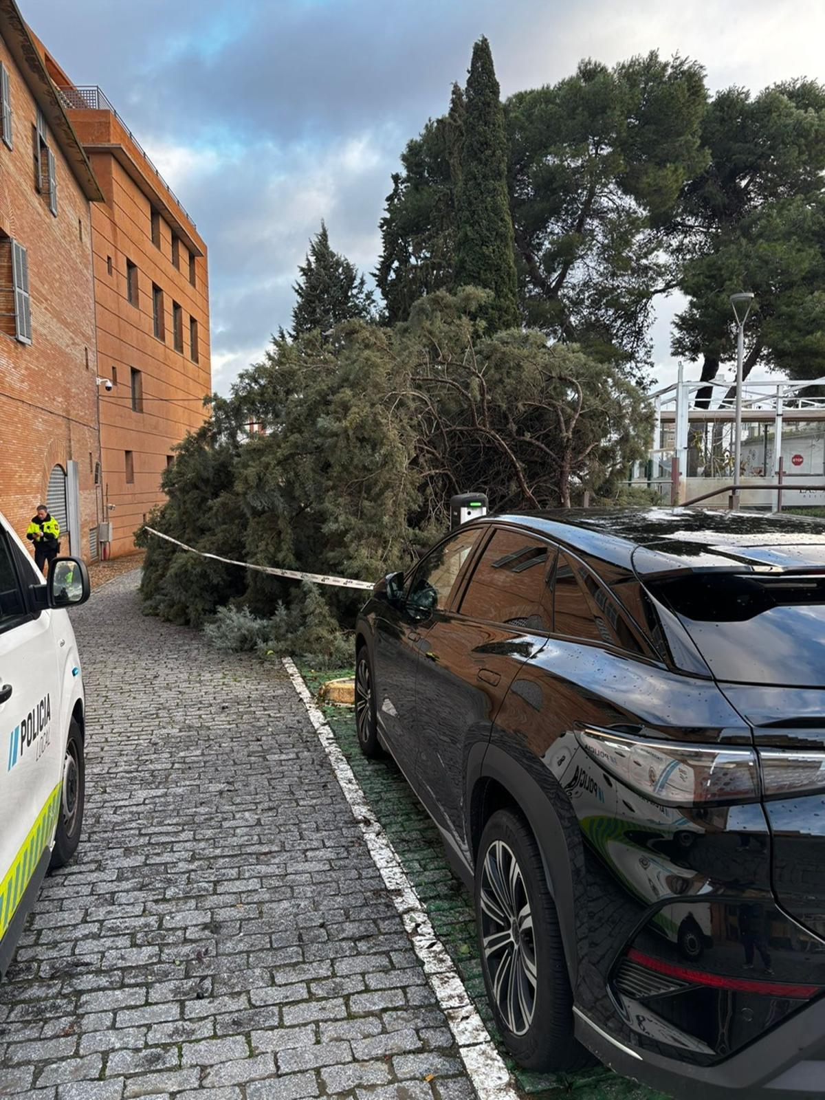 Daños causados por el vendaval.